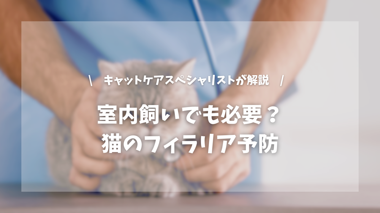 猫のフィラリア予防 完全室内飼いでも必要なの?【キャットケアスペシャリストが解説!】