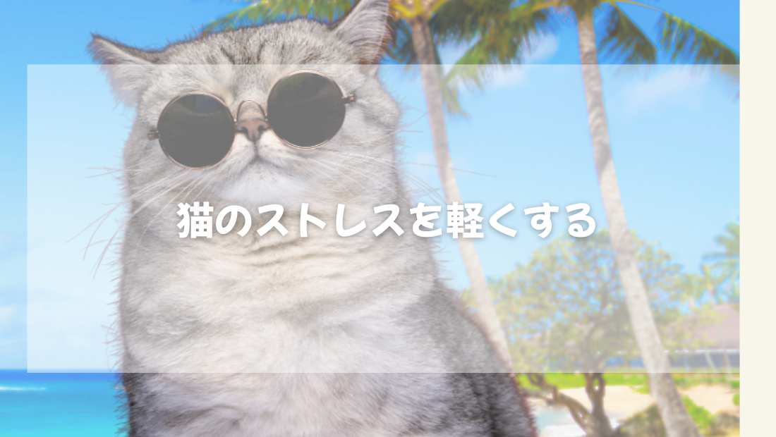 猫のストレスを軽くする新常識6選【獣医師がやさしく解説】
