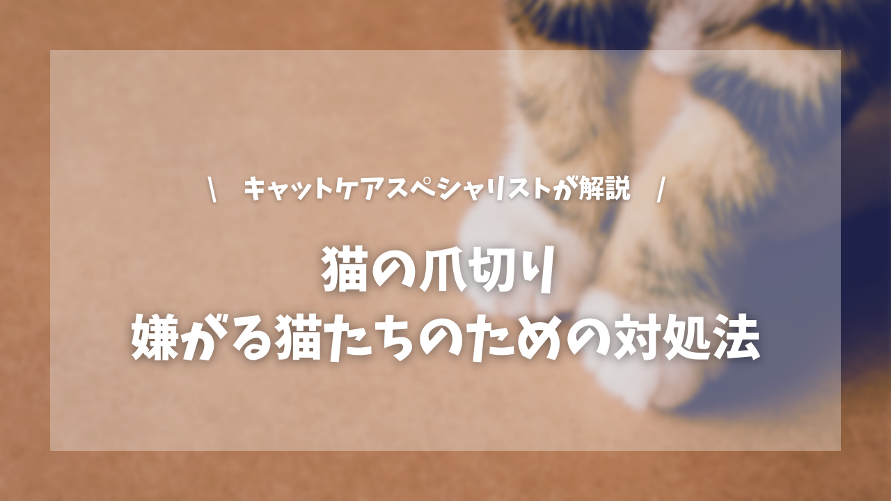 猫の爪切り 嫌がる猫たちのための対処法【キャットケアスペシャリストが解説!】