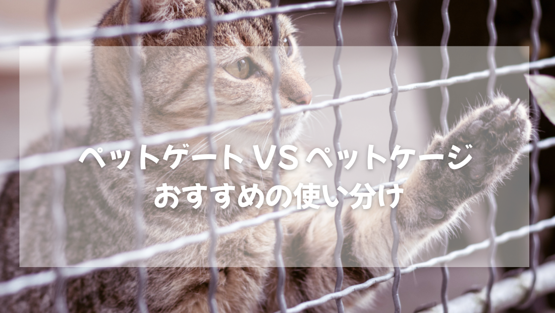 ペットゲート VS ペットケージ おすすめの使い分け【獣医師がやさしく解説】