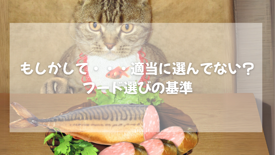 もしかして・・・適当に選んでない? 猫のフード選びの基準 【獣医師がやさしく解説】