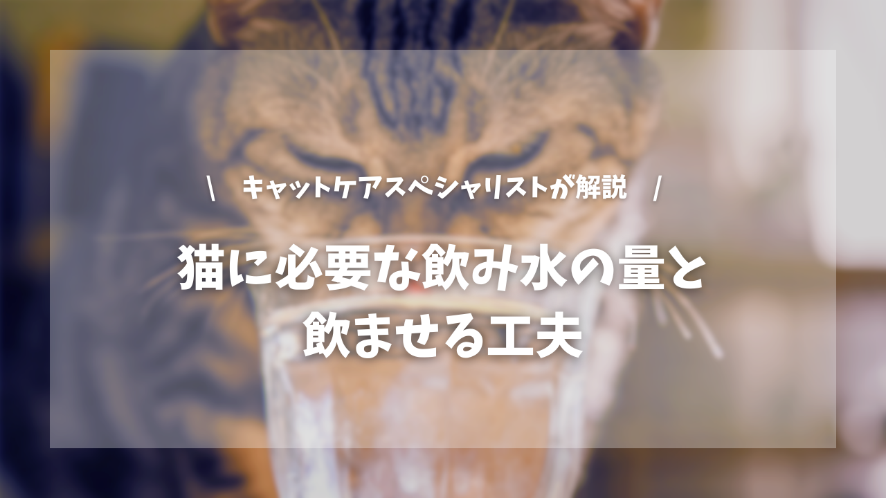 猫に必要な飲み水の量と飲ませる工夫【キャットケアスペシャリストが解説!】