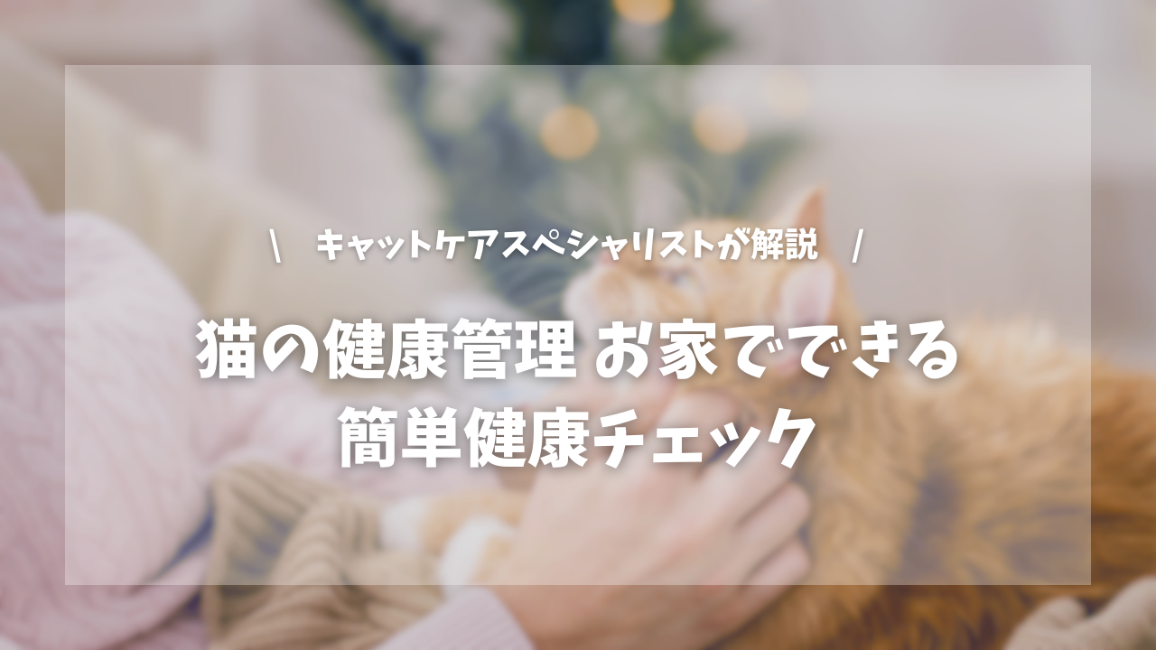 猫の健康管理 おうちでできる簡単健康チェック【キャットケアスペシャリストが解説!】