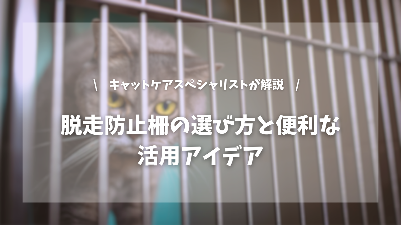 失敗しない脱走防止柵の選び方と便利な活用アイデア【キャットケアスペシャリストが解説!】