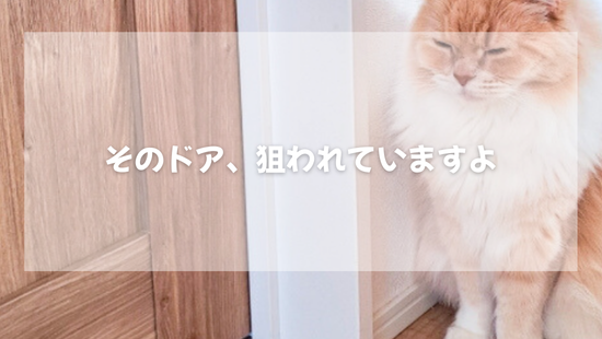 そのドア、狙われていますよ【獣医師がやさしく解説】