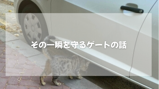 その一瞬を守るゲートの話【獣医師がやさしく解説】