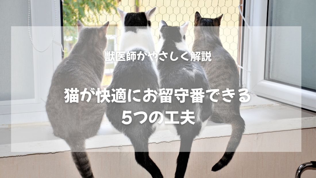 猫の留守番を快適にする5つの工夫【獣医師がやさしく解説】