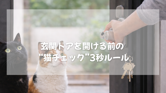 LIFAXIA 【にゃんゲート】 ペットゲート 猫 島袋商店
