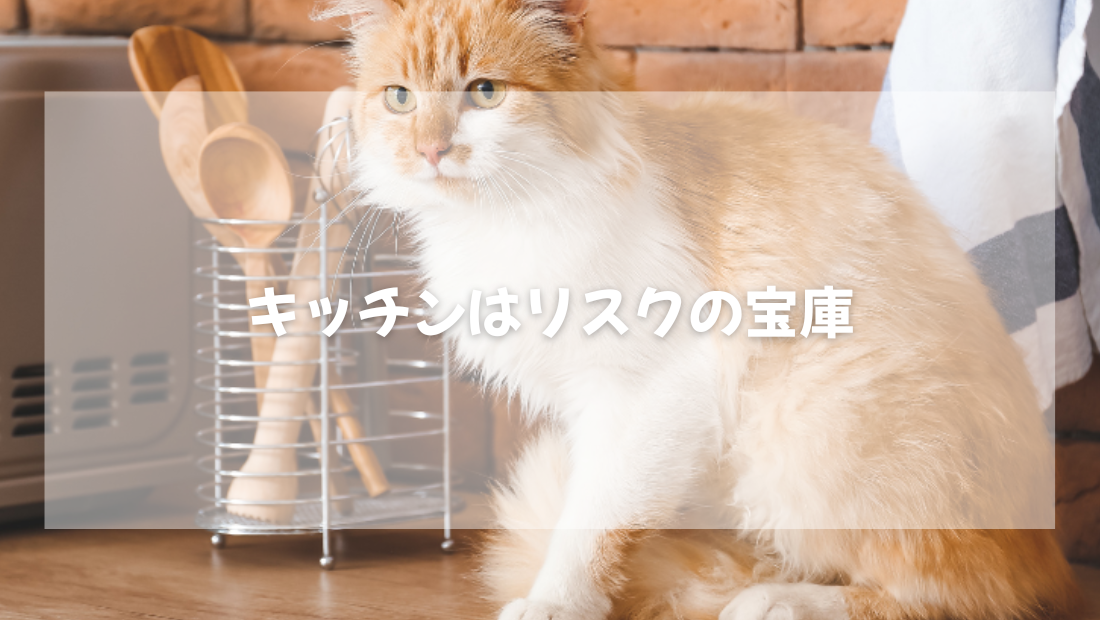 キッチンはリスクの宝庫【獣医師がやさしく解説】
