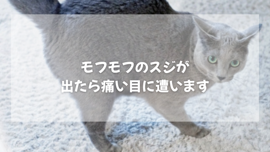 モフモフのスジが  出たら痛い目に遭います【獣医師がやさしく解説】