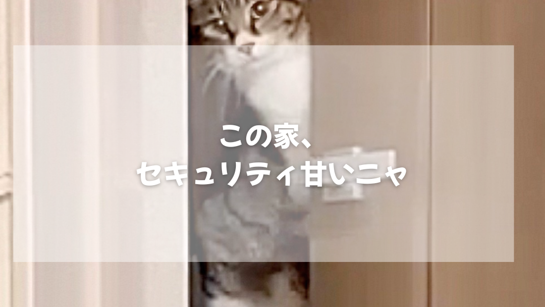 この家、セキュリティ甘いニャ　【獣医師がやさしく解説】