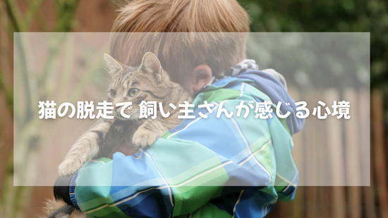猫の脱走で 飼い主さんが感じる心境　【獣医師がやさしく解説】