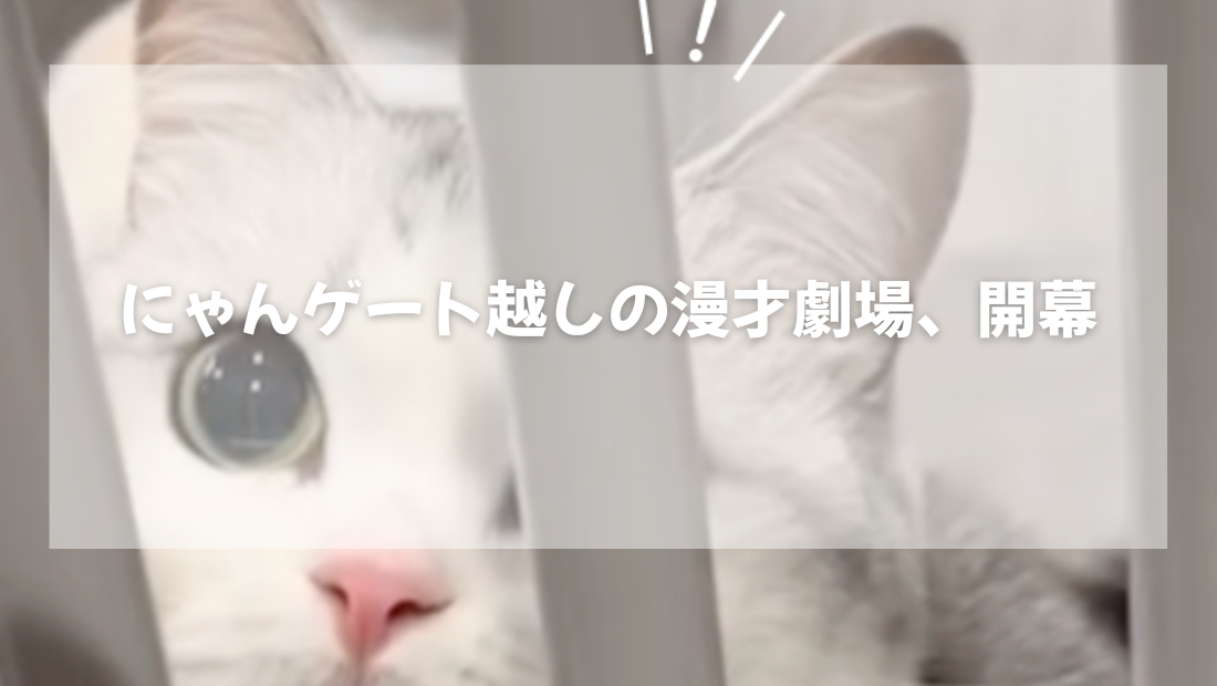 安全の裏側【獣医師がやさしく解説】