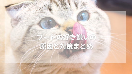 フードの好き嫌いの原因と対策【獣医師がやさしく解説】