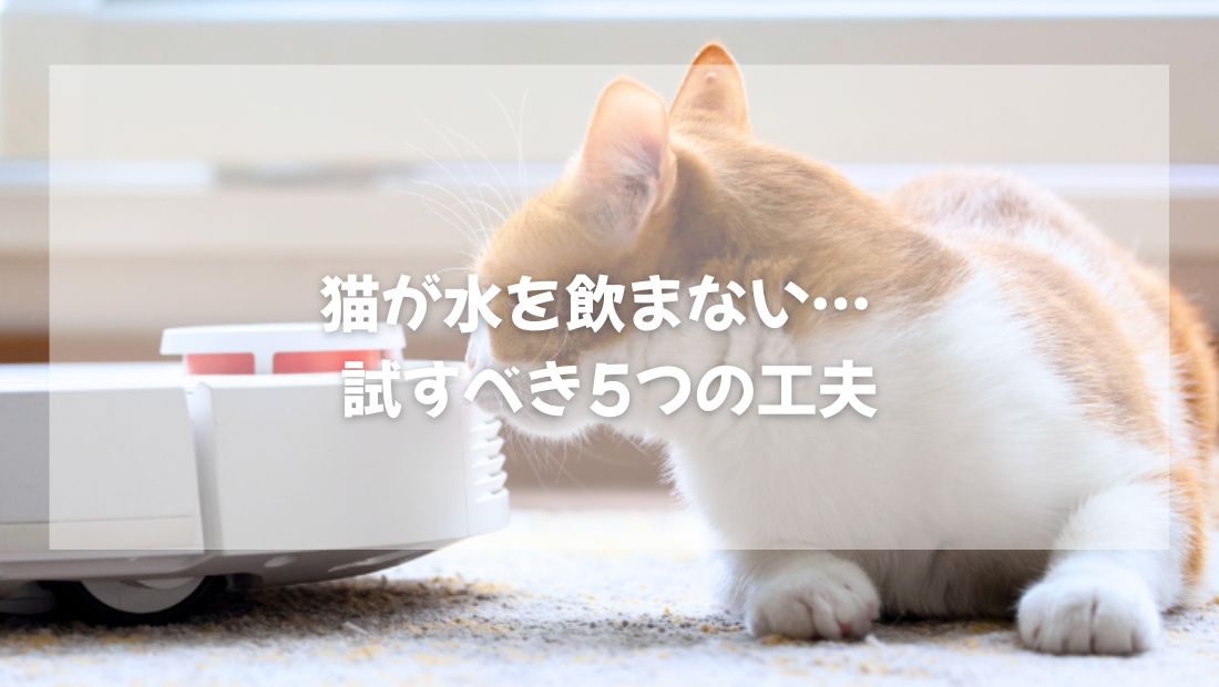 猫が水を飲まない…  試すべき5つの工夫【獣医師がやさしく解説】