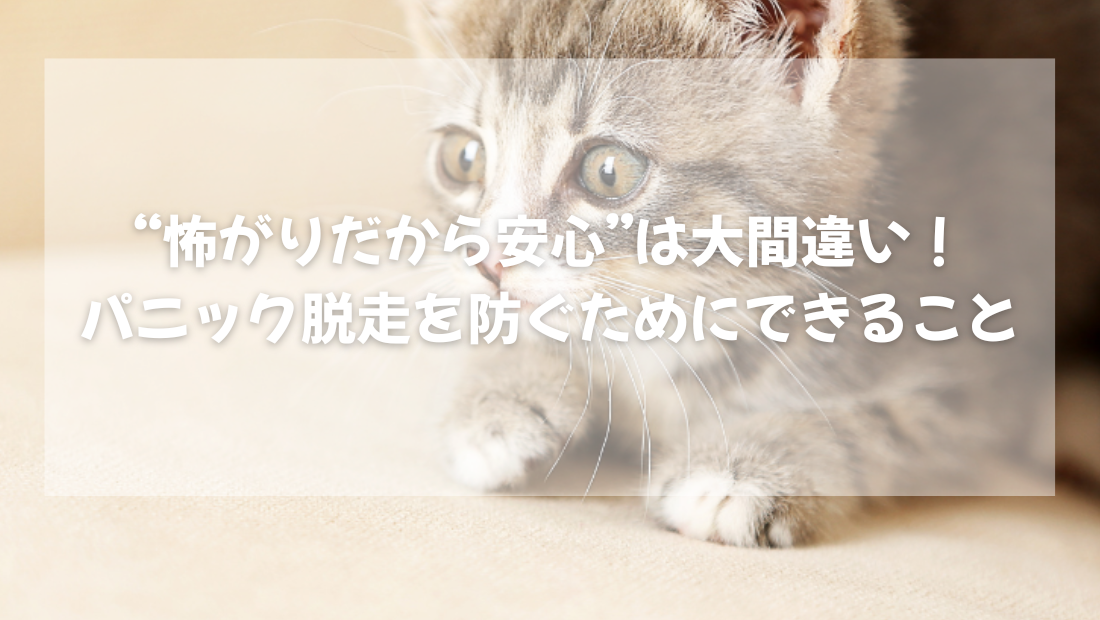 怖がりだから安心”は大間違い！【獣医師がやさしく解説】