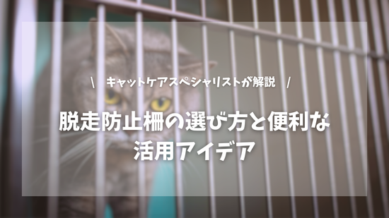 失敗しない脱走防止柵の選び方と便利な活用アイデア【キャットケアスペシャリストが解説！】