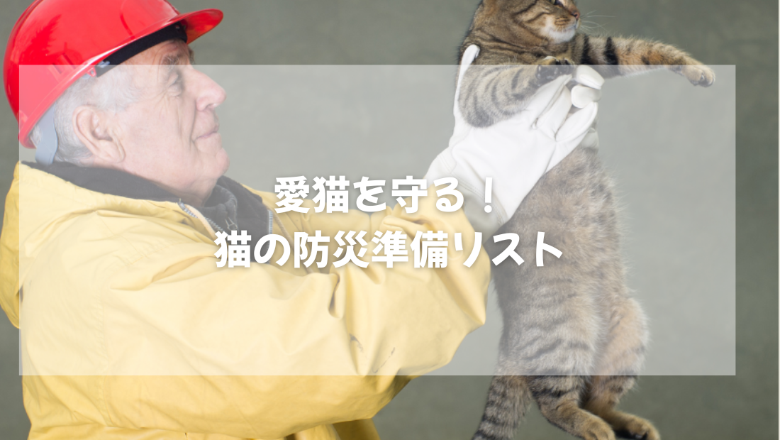愛猫を守る！猫の防災準備リスト【獣医師がやさしく解説】