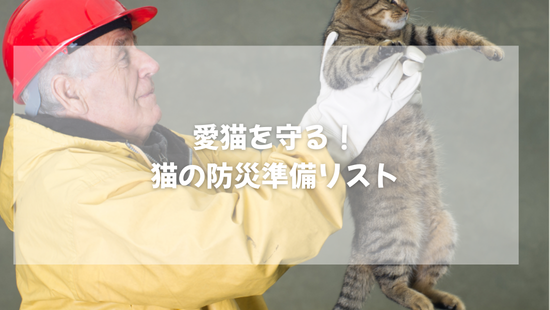 愛猫を守る！猫の防災準備リスト【獣医師がやさしく解説】